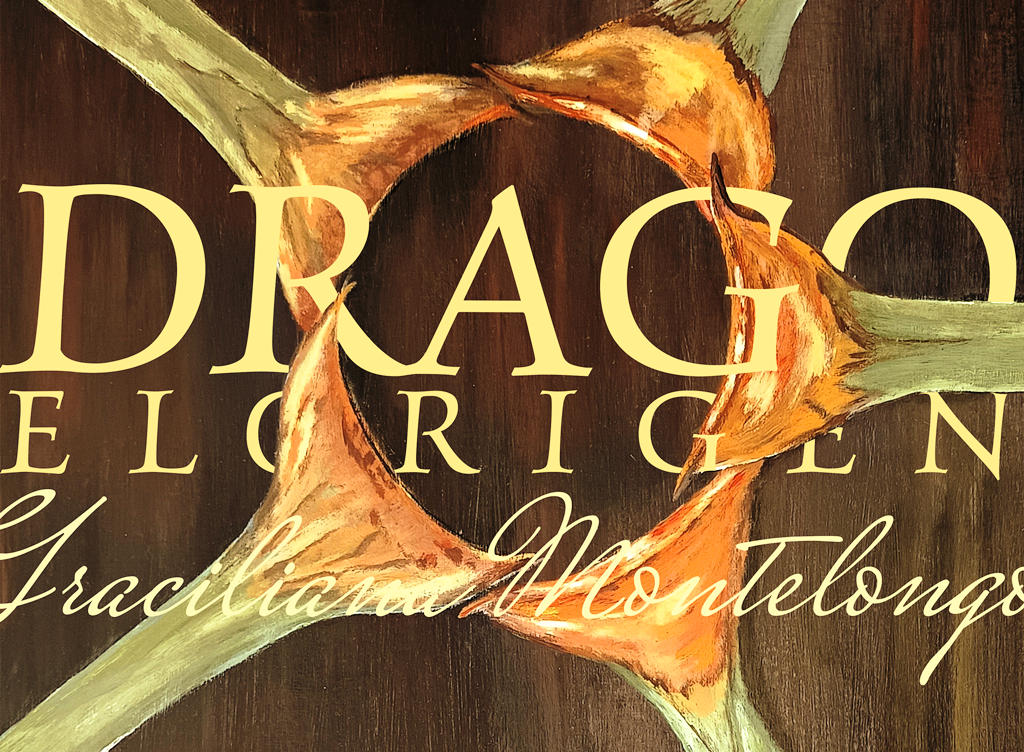 CARTEL DE la Expo DRAGO copia copia