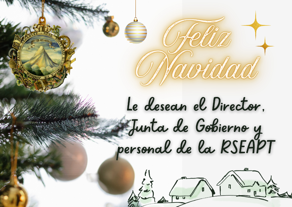 navidad 2025 copia