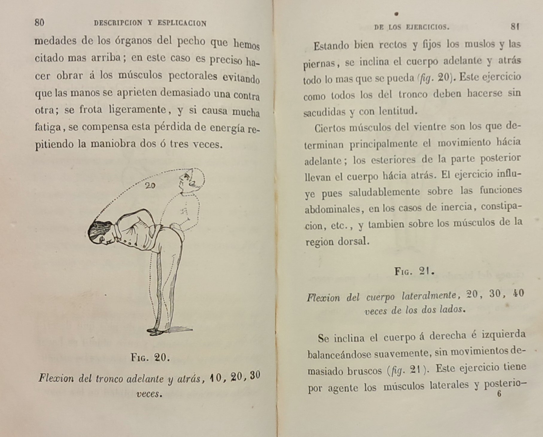Texto 2